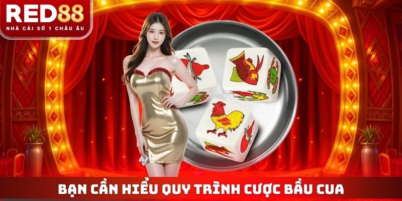 Bạn cần hiểu quy trình cược Bầu Cua