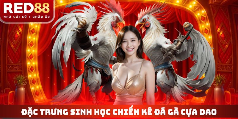 Chiến kê đá gà cựa dao có đặc trưng sinh học giống nhau