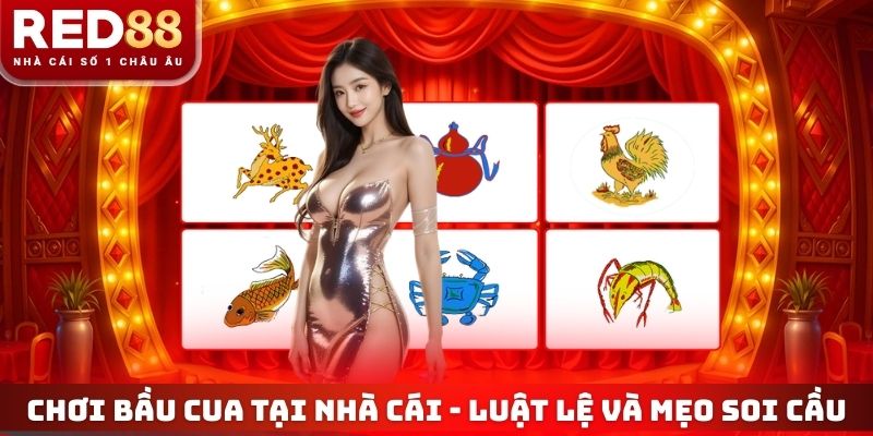 Chơi Bầu Cua Tại Nhà Cái - Hiểu Luật Lệ Và Mẹo Soi Cầu 4 Chơi Bầu Cua