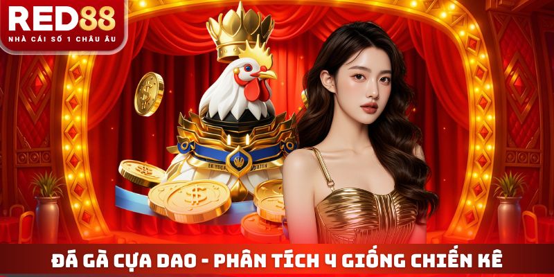 Đá Gà Cựa Dao