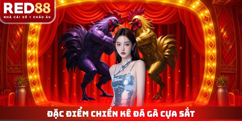 Đặc điểm chiến kê được phân tích chi tiết
