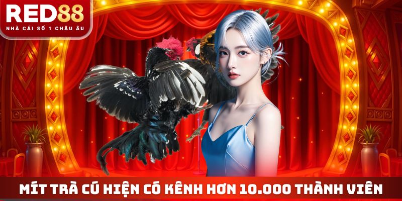 Mít Trà Cú hiện có kênh truyền thống hơn 10.000 thành viên