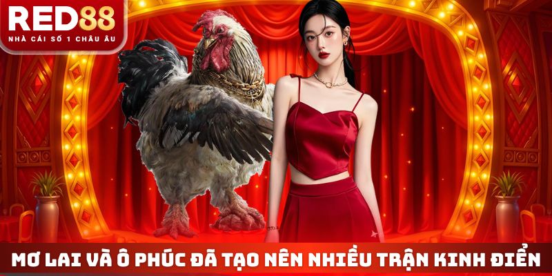 Đá Gà Thomo - Top 3 Trận Đấu Kinh Điển Nhất Dịp Đầu Năm 4 Mơ Lai và Ô Phúc đã tạo nên nhiều trận kinh điển