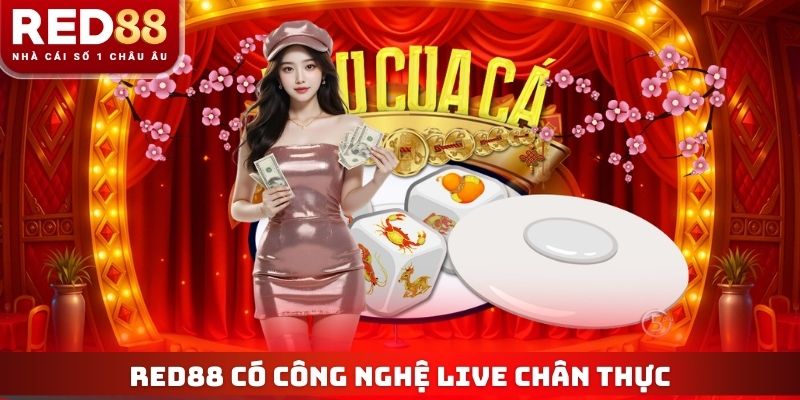 Web Bầu Cua Nào Uy Tín Hiện Nay? Các Tiêu Chí Lựa Chọn 3 RED88 có công nghệ live chân thực