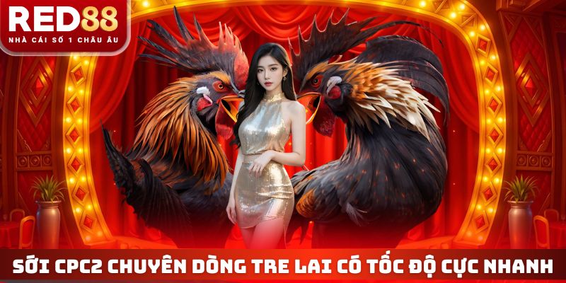 Trường Gà Tho Mo - Đấu Trường Chiến Kê Triệu Đô Top 1 Châu Á 4 Sới CPC2 chuyên dòng tre lai có tốc độ cực nhanh
