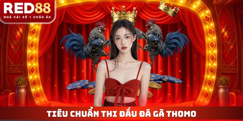 Đá Gà Thomo - Top 3 Trận Đấu Kinh Điển Nhất Dịp Đầu Năm 3 Tiêu chuẩn thi đấu được quy định cụ thể, chi tiết