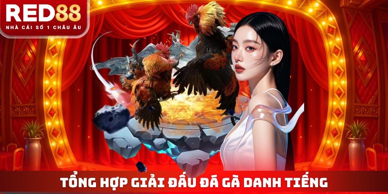 Tổng hợp giải đấu danh tiếng được phát sóng