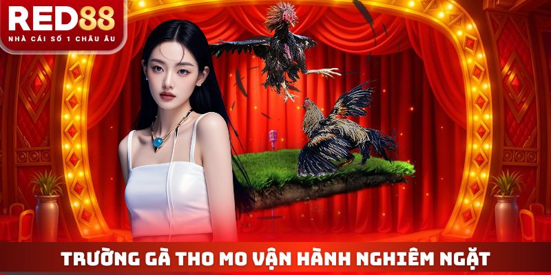 Trường Gà Tho Mo - Đấu Trường Chiến Kê Triệu Đô Top 1 Châu Á 2 Trường gà tho mo vận hành theo chuẩn nghiêm ngặt